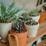 9 Model Pot Tanaman: Dari Rotan hingga Toples