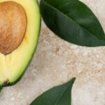 11 Manfaat Daun Alpukat: Ampuh Atasi Darah Tinggi
