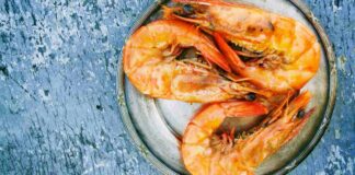 10 Manfaat Udang: Seafood Lezat Cerdaskan Otak