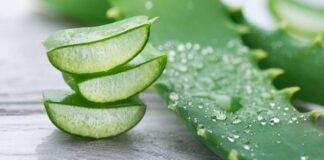 3 Cara Mengolah Lidah Buaya, Beragam Fungsi dan Manfaat!