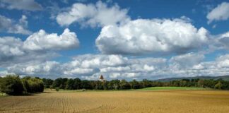 Contoh Surat Jual Beli Tanah dan Cara Membuatnya