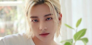 Hyunjin Stray Kids, Main Dancer dengan Julukan “The Prince”
