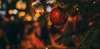 Lirik Lagu Malam Kudus (Silent Night) untuk Dinyanyikan di Malam Natal