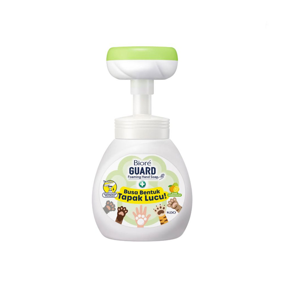 2 Biore Guard Foam Fresh
