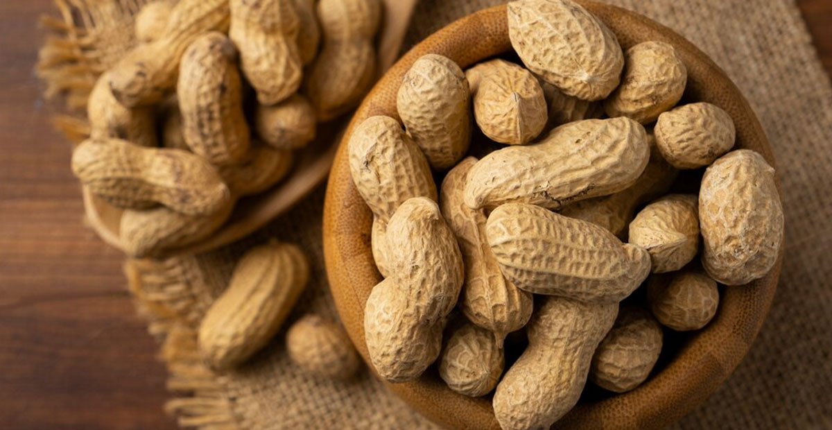 7 Rekomendasi kacang kulit terbaik