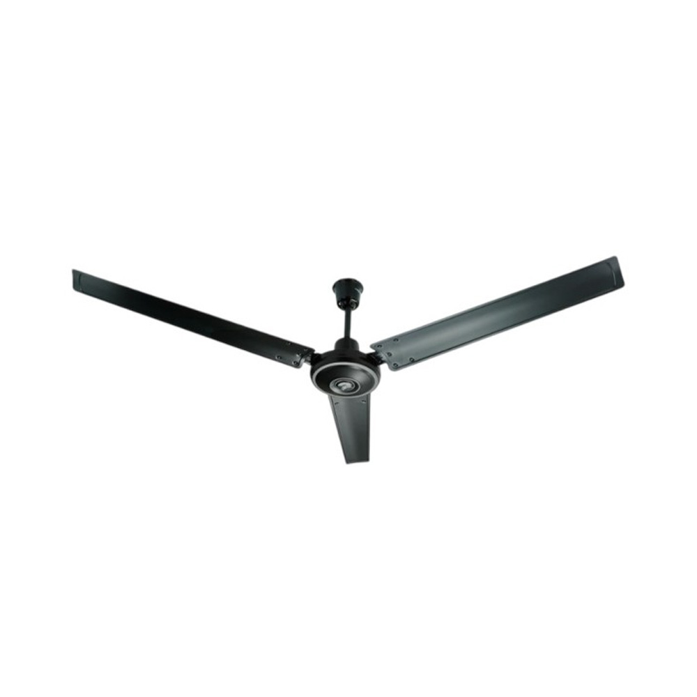 2 Advance CF 5603