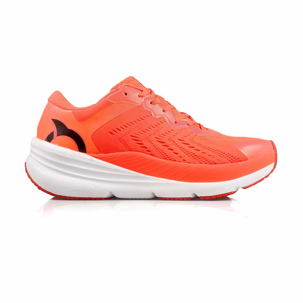 Sepatu lari lokal terbaik - Ortuseight Hyperblast