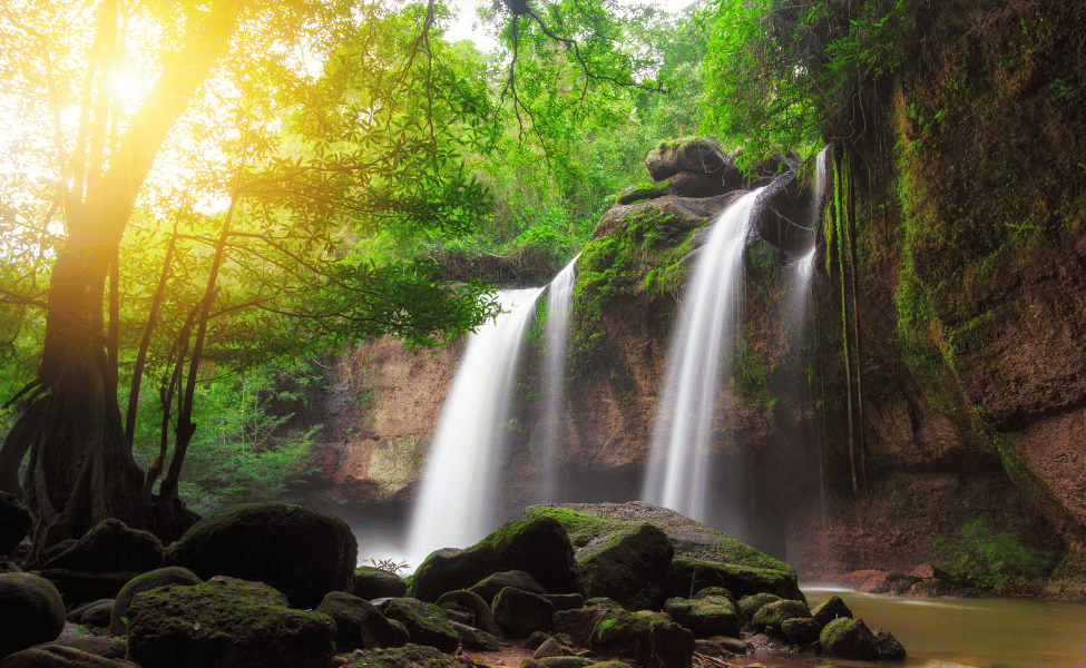 khao yai national park, nakhon ratchasima
