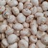 Gambar Jamur Champignon Fresh 250 gram dari Famira Food Mart Kota Bekasi 2 Tokopedia