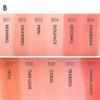 Gambar FOCALLURE Blush Natural Pressed Blusher FA25B - FA25B-02 dari beauty entity Kab. Tangerang 2 Tokopedia