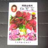 Gambar Biji benih bibit sayur bayam belang merah dari Biji Benih Kota Medan 1 Tokopedia