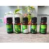 Gambar Essential Oil / Aromaterapi Lemongrass / Sereh - 10ML dari TY BALI SPA Jakarta Timur 3 Tokopedia