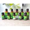 Gambar Essential Oil / Aromaterapi Peppermint - 10ML dari TY BALI SPA Jakarta Timur 2 Tokopedia