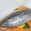 Gambar Ikan Tongkol Frozen - 500gr - Seafood by Aruna dari Seafood by Aruna Jakarta Selatan 1 Tokopedia