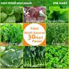 Gambar Paket Benih Sayuran 30 Hari Panen (Pokcoy, caisin, bayam, kailan, dll) dari IPB Mart Kota Bogor 2 Tokopedia