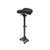 Gambar Ninebot by Segway Kickscooter Seat for ES2,ES4 & MAX dari Segway Ninebot Indonesia Jakarta Selatan 2 Tokopedia