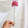 Gambar Artificial Flower PomPom Mum Dandelion Bunga Palsu Buatan Plastik Hias - WHITE dari Botanikal_Decor.id Kab. Tangerang 5 Tokopedia