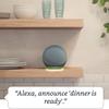 Gambar Amazon Echo Dot 4th Gen Alexa Voice Smart Speaker - Hitam dari ARBIT Official Store Jakarta Barat 3 Tokopedia