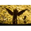Gambar King Ghidorah Action FIgure Godzilla Monster Series Kaiju dari Boluner-Shop Jakarta Barat 4 Tokopedia