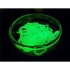 Gambar Space Gel Science Kit dari Emmerich_Invention Jakarta Utara 5 Tokopedia