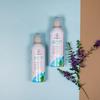 Gambar BIGROOT CARE Hand Sanitizer 200ml dari RAJA IT OFFICIAL STORE Jakarta Utara 2 Tokopedia