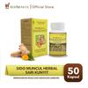 Gambar Sido Muncul Herbal Sari Kunyit 50 Kapsul - Sakit Mag Perut Lambung dari Sido Muncul Store Kota Tangerang Selatan 1 Tokopedia