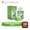 Gambar Sido Muncul Herbal Celery 30 Kapsul - Menurunkan Darah Tinggi dari Sido Muncul Store  1 Tokopedia