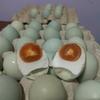 Gambar TELOR ASIN MATANG dari TELORASIN_DIBAegg Kota Surabaya 1 Tokopedia