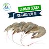 Gambar Ikan segar udang fresh dari Saras-88 Kota Tangerang Selatan 1 Tokopedia