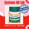 Gambar Himalaya Cystone, Peluruh batu ginjal, 60 tablet dari Himalaya bogor Kota Bogor 1 Tokopedia