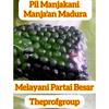 Gambar Pil Manjakani Super Madura - Jamu Pil Majaan - Asli Ramuan Madura dari The Prof Group Kab. Sidoarjo 2 Tokopedia