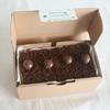Gambar Melomelo Mocha Meses Cake (Personal) dari QooBee <3 Jakarta Barat 1 Tokopedia