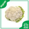 Gambar Fresh Kembang Kol Segar Organik - SayurKendal - 1000gr dari Sayur Kendal - Menteng Jakarta Pusat 1 Tokopedia