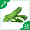 Gambar Fresh Timun Lokal Segar Organik - SayurKendal - 500gr dari Sayur Kendal - Menteng Jakarta Pusat 1 Tokopedia