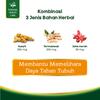 Gambar Herbatia Sari Imuno - Empon 3 in 1 dari Tunggal Health Care 2 Tokopedia