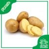 Gambar Fresh Kentang Segar Organik - Sayur Kendal - 500gr dari Sayur Kendal - Menteng Jakarta Pusat 1 Tokopedia