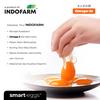 Gambar Telur Omega 3 Organik - INDOFARM Smart Eggs™ - Box Full Design dari INDOFARM JAKARTA UTARA Jakarta Utara 5 Tokopedia