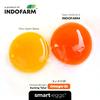 Gambar Telur Omega 3 Organik - INDOFARM Smart Eggs™ - Box Full Design dari INDOFARM JAKARTA UTARA Jakarta Utara 6 Tokopedia