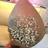 Gambar Fresh Baby Breath, Fresh Gypsophila. Dapat dijadikan Dried Flower dari Alam asli farm Jakarta Barat 3 Tokopedia