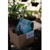 Gambar Arabica Senggani dari KlinikKopi Kab. Sleman 5 Tokopedia