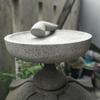 Gambar Cobek Batu Kali Pori AYAM GEPREK 30cm TEBAL 6cm Bulat + Ulekan dari MunTHuCom Kab. Sleman 1 Tokopedia
