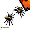 Gambar Laba Laba Mainan Dekorasi Halloween Spider Toys Murah Grosir Prank Toy - besar isi 1 dari MadisonShop Jakarta Barat 4 Tokopedia