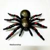 Gambar Laba Laba Mainan Dekorasi Halloween Spider Toys Murah Grosir Prank Toy - besar isi 1 dari MadisonShop Jakarta Barat 2 Tokopedia