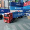 Gambar Diecast truck Container Hanjin- Miniatur Truk Kontainer dari CassavaToys Kota Bekasi 4 Tokopedia