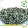 Gambar Alfalfa Hay 1kg SH Special Hay Rumput Hay Alfalfa 1kg dari Akbar Kelinci Tangerang Kota Tangerang Selatan 3 Tokopedia
