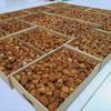 Gambar Kurma SUKARI AL-MADINA kemasan 3kg dari kurmaonlinestore Jakarta Pusat 1 Tokopedia