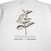 Gambar FILOSOFI KOPI KAOS - FNDMTL COFFEE CHERRY - WHITE - S dari FILOSOFI KOPI APPAREL Jakarta Selatan 3 Tokopedia