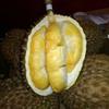 Gambar Durian Bawor Menul Utuh - 4.32 dari Dnd-83 Jakarta Selatan 3 Tokopedia