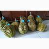 Gambar Durian Bawor Menul Utuh - 4.32 dari Dnd-83 Jakarta Selatan 5 Tokopedia