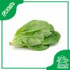Gambar Fresh Selada Romain Segar Organik - Sayur Kendal - 250gr dari Sayur Kendal - Menteng Jakarta Pusat 1 Tokopedia